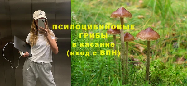 таблы Арсеньев